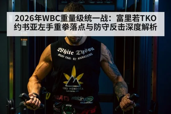 2026年WBC重量级统一战：富里若TKO约书亚左手重拳落点与防守反击深度解析