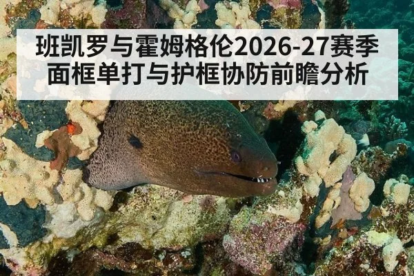 班凯罗与霍姆格伦2026-27赛季面框单打与护框协防前瞻分析