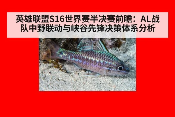 英雄联盟S16世界赛半决赛前瞻：AL战队中野联动与峡谷先锋决策体系分析